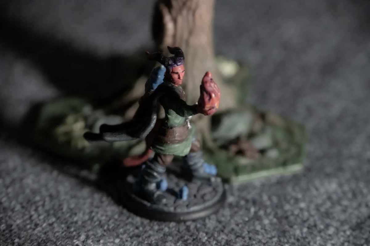 D&D Miniature